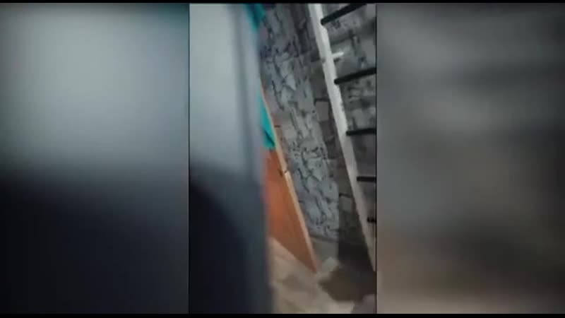 Спор матери с сыном о национализме, гитлере и холокосте