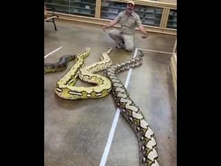 Егде жастағы әйелдерге арналған порно кастинг