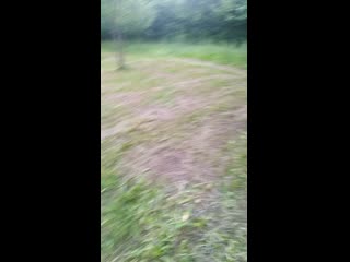 Кузимир, дафна дочка аче и ярочка!!!!