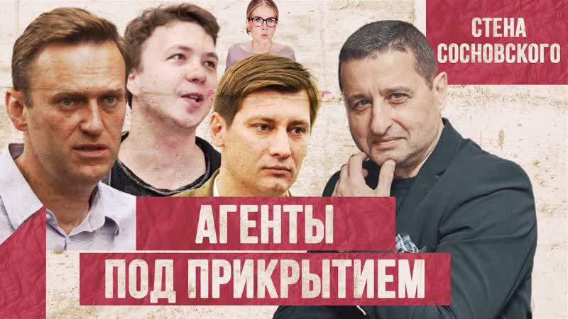 Навальный, протасевич, гудков кроты или крысы? | европа грозит белоруссии | стена сосновского