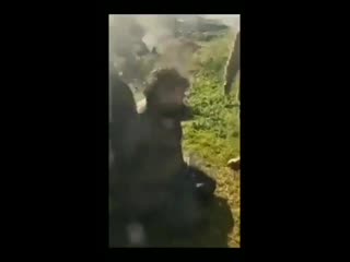 Erdogan porn captured by syrian army in saraqib it appears he couldnt run as fast as his friends video via @truestory24