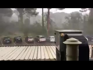 Severe wet downburst mowing trees in milano marittima (ravenna), north italy this morning, july