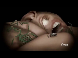 Short stories cobwebs by cyriak