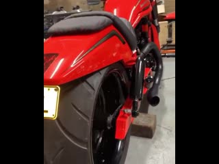 Harley davidson vrod custom