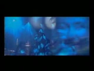 Myslovitz i maria peszek w deszczu maleńkich tych kwiatów