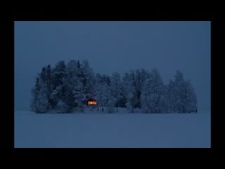 Emmanuel errante hidden behind the hedge