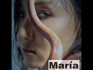 Hwasa maria (by lia&ann)