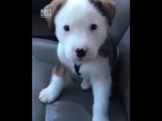 Милаха икает