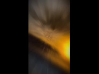 Morgun gold 20200524 2 mp4