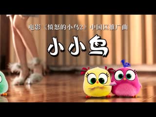 [mv] xuanyi little little bird (angry birds movie 2)