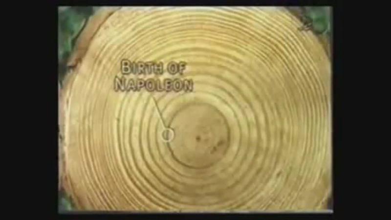 Социальная реклама против вырубки лесов