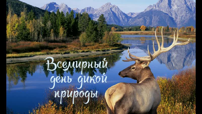 "сохраним природу"