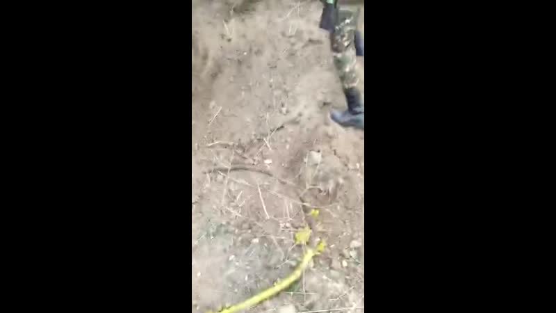 Трофейная техника