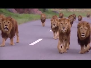 Inner circle bad boys