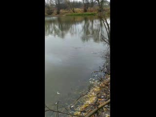 Vid 20201018 144328 mp4