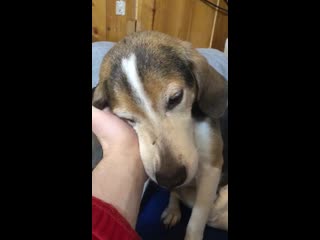 Жужа кайфует