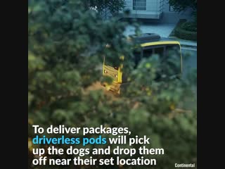 These robotic dogs can fetch packages for you🐕