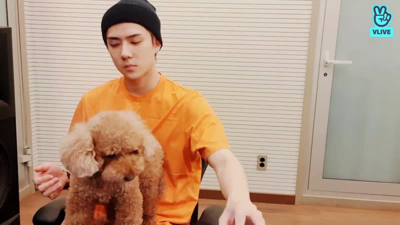 Present porn video – [video] 200707 exo sc @ special present v live