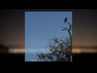 Ufo photograph from torrey pines, ca (submission)