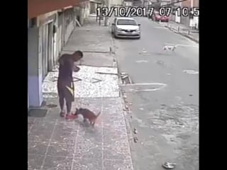 Me minding my own business but life just pees on me