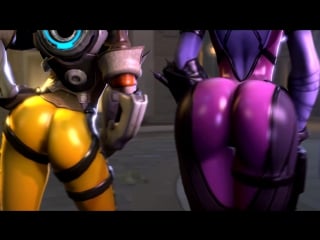 Трейсер и бруда tracer and widowmaker