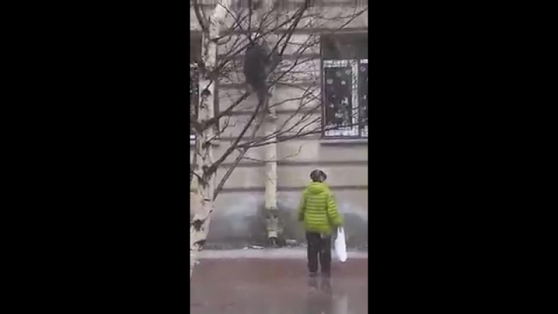 Бабка альпинист, спустилась по трубе с 3 этажа (огого видео)