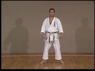 Hirokazu kanazawa shotokan karate complete guide 3