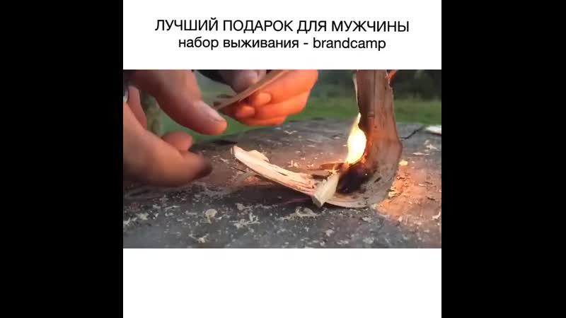 Lopata