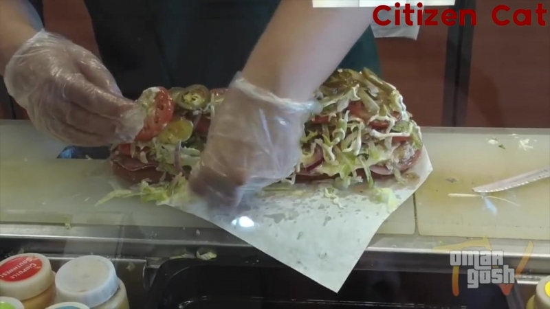[citizen cat pranks] адский сэндвич в subway