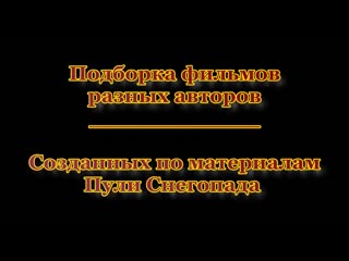 Подборка фильмов разных авторов по материалам пули снегопада