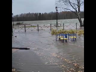 Видео от любимая ленобласть