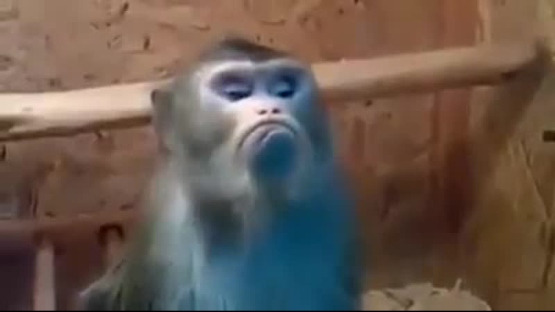Обида