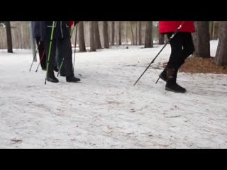 Клуб скандинавоходов объединил самых активных жителей сургута