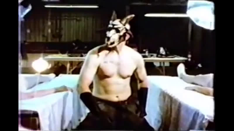 Американская подопытная свинка букет из кишок и крови / american guinea pig bouquet of guts and gore