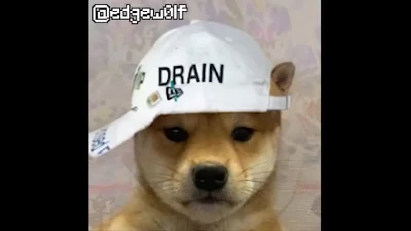 Doge porn video – Bladee botox lips doge version