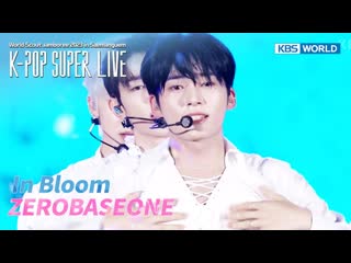 [230812] zerobaseone in bloom [k pop super live] >> world scout jamboree 230811