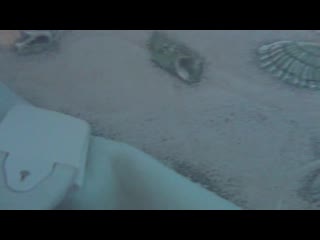 Обзор на электрическую простыню с подогревом