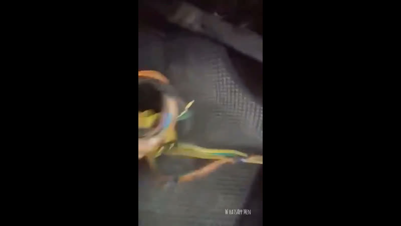 Электрик самоучка