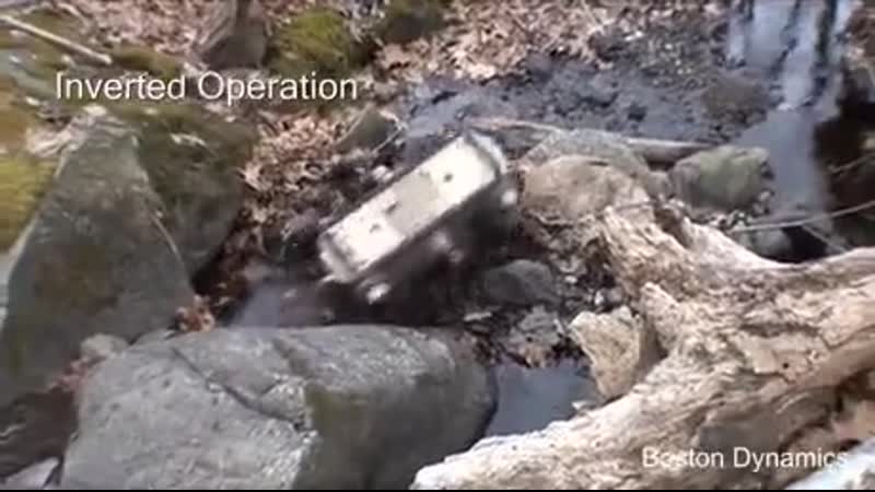 А ведь скоро они захватят всю планету