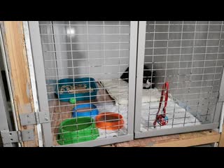 Паркер лечится