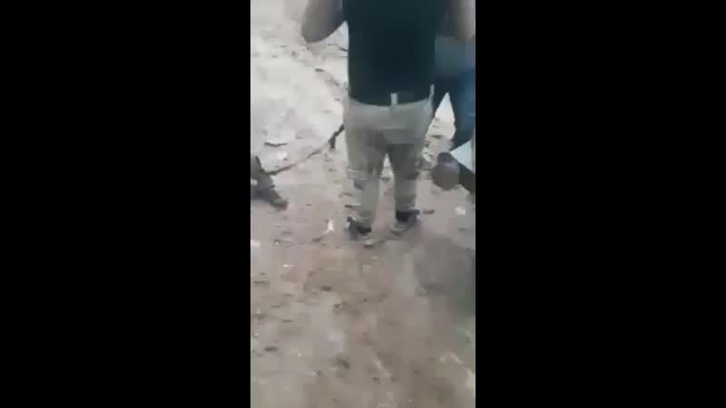 Боевики porn video – Боевики сса издеваются над арабским молодые в джераблусе