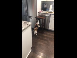 Нее пора худеть mp4