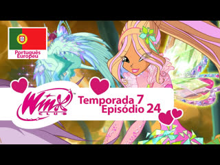 Clube winx temporada 7, episódio 24 «a borboleta dourada» (português europeu)