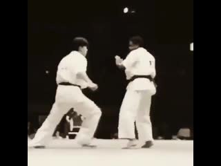 Подборка иппонов