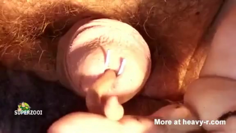 Переселение червя