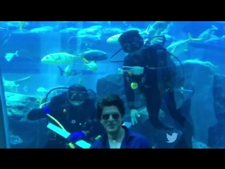 Shah rukh khan taking selfie with divers in dubai during be my guest dubai tourism ad shoot