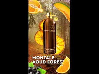 Montale aoud forest unisex