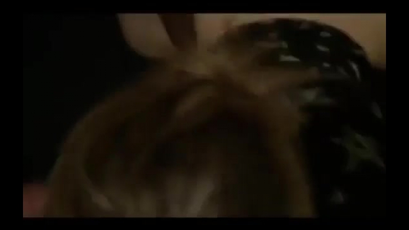 Прогуливает школу