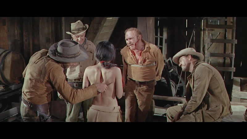 1966 невада смит / nevada smith