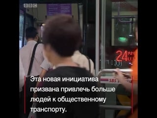 "ароматные автобусы" сингапура